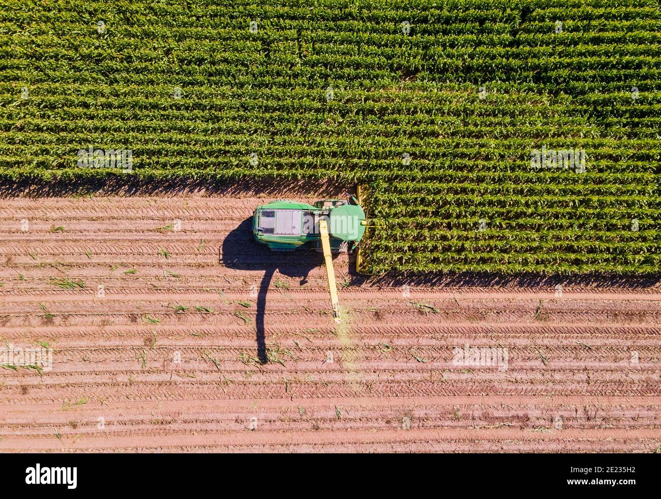 Cutting corn field hires stock photography and images Alamy