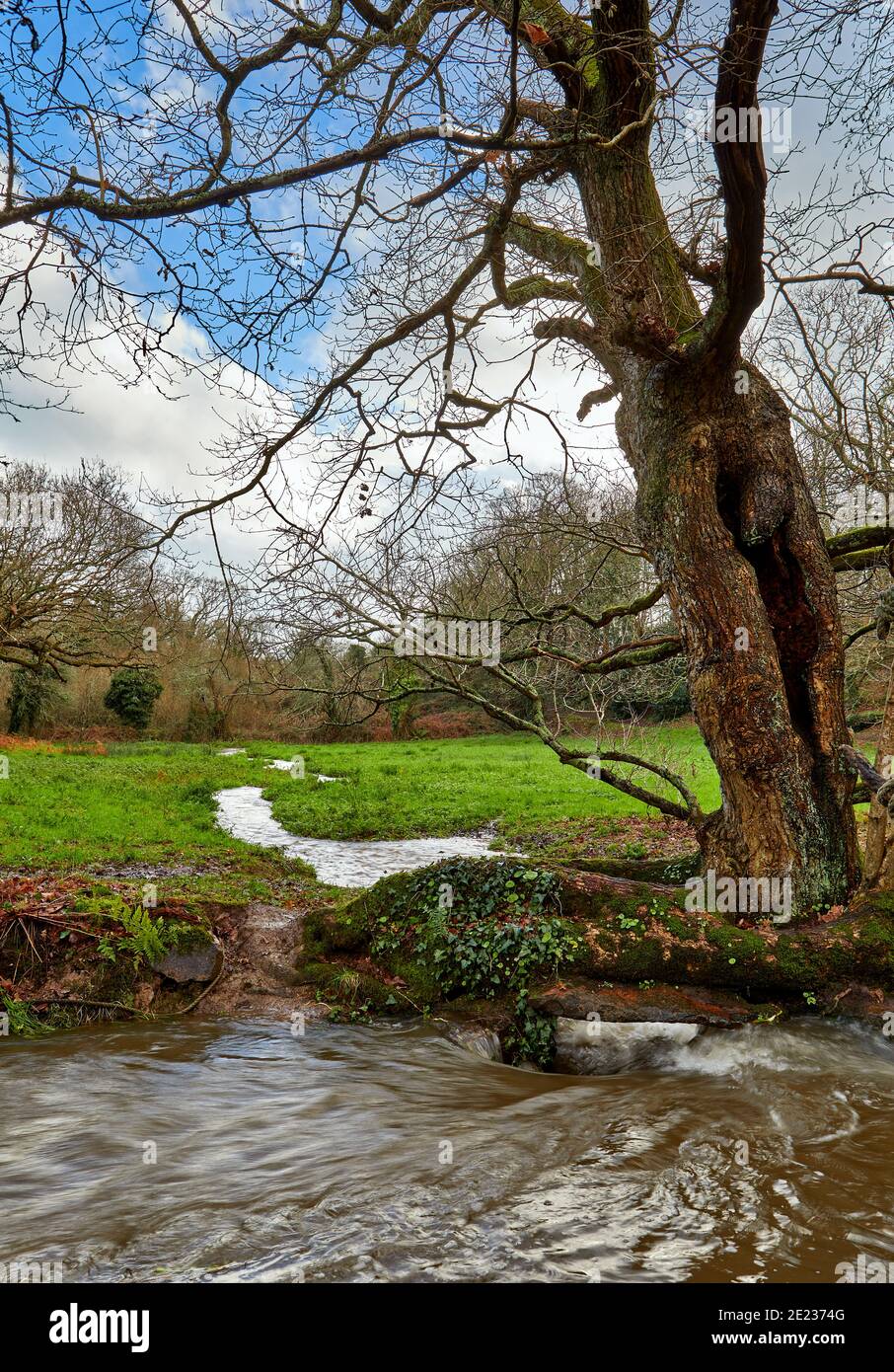 Jersey, Channel Islands Stock Photo Alamy