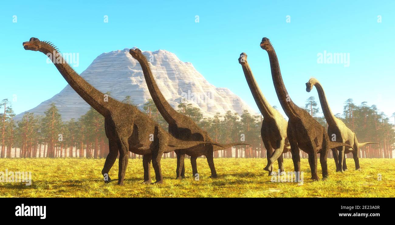 Brachiosaurus was a tall herbivorous sauropod that lived during the Jurassic Period of North America. Stock Photo