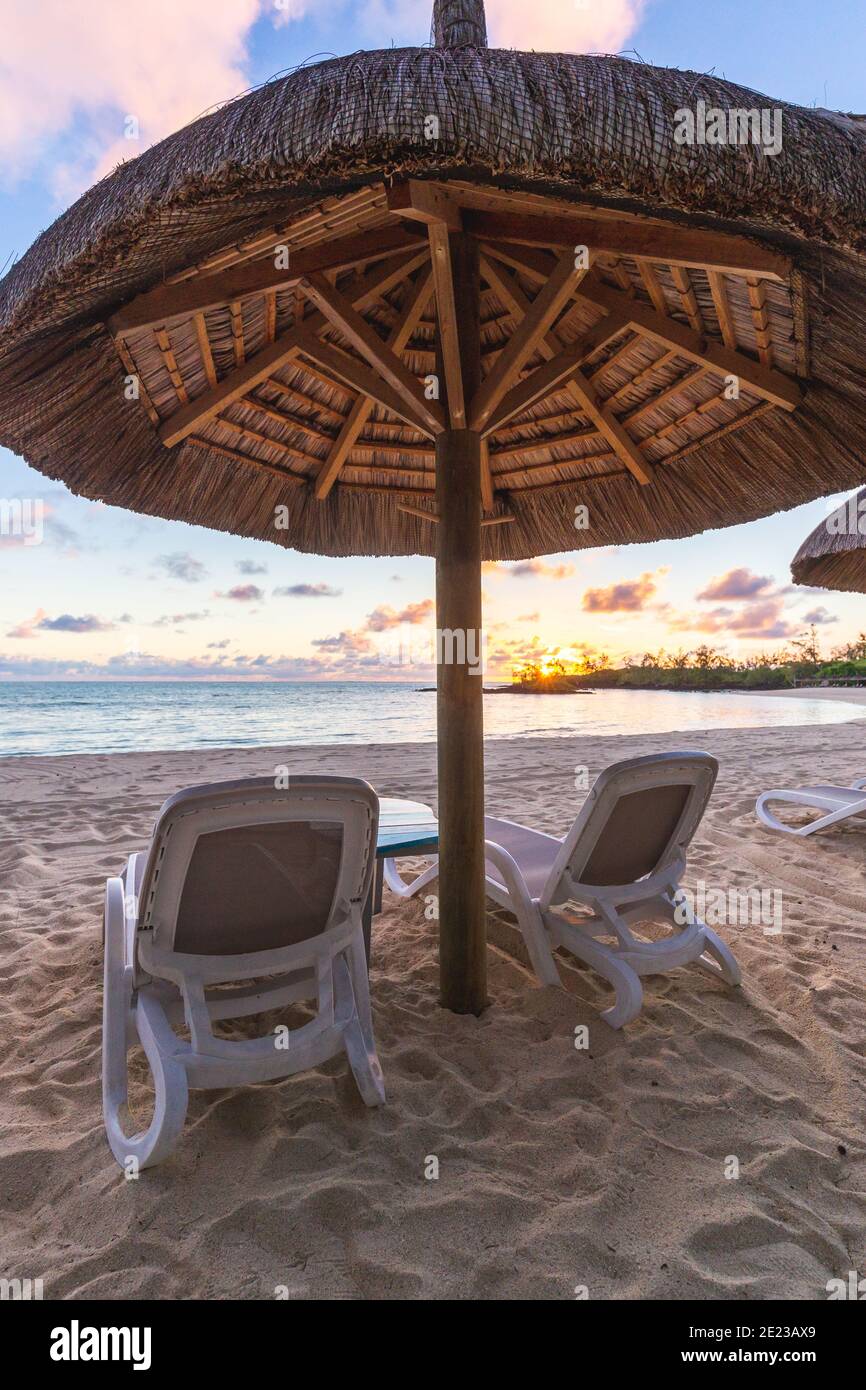 grass beach umbrella
