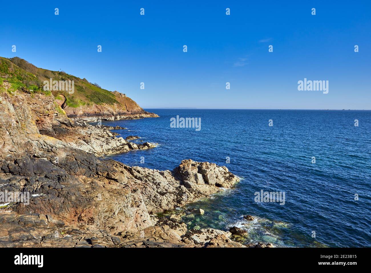 Great Britain, Jersey Island, cliffs and plants on Corbiere Bay Stock Photo  - Alamy