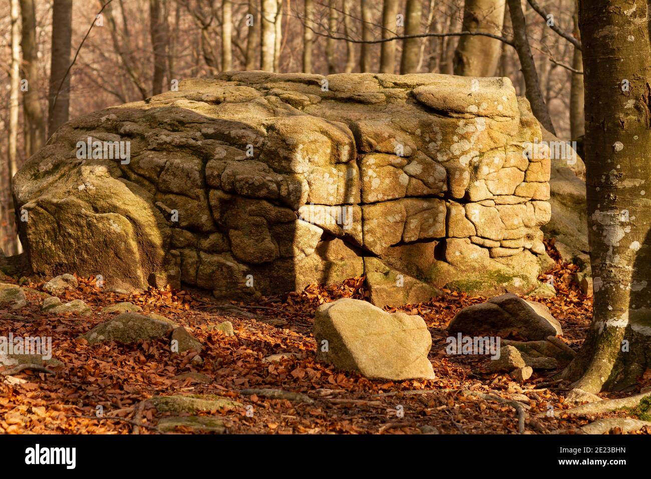 Old Forest Rocks Closeup of old rock formations in a forest covered in dried leaves in ...