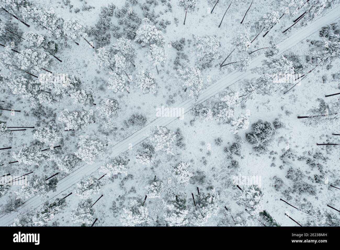 Aerial shot of a road surrounded by mesmerizing snow-covered forests ...