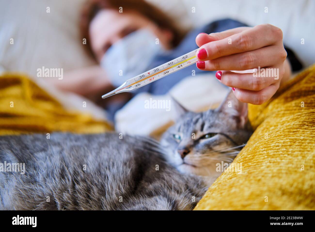 Чумка панлейкопения у кошек. Больной кот дома. Котик болеет. Котик заболел. Больной кот дома.