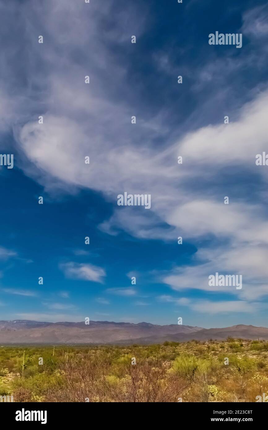 Desert landscape along the Cactus Forest Drive in the Rincon Mountain District of Saguaro National Park, Arizona, USA Stock Photo