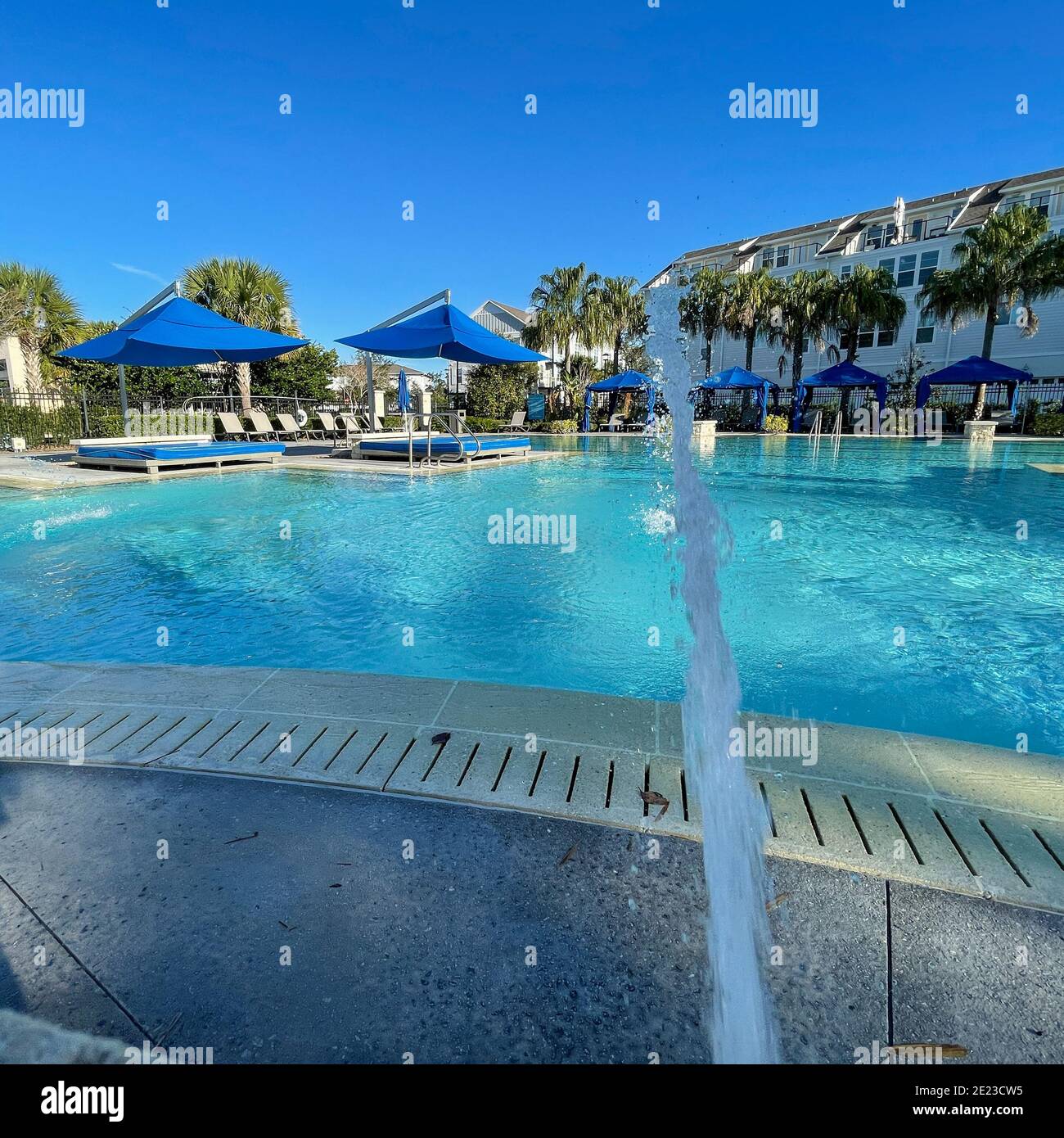 Pool Landscape Designer in Orlando Florida – Transform Your Pool Space, image size:1300x1390