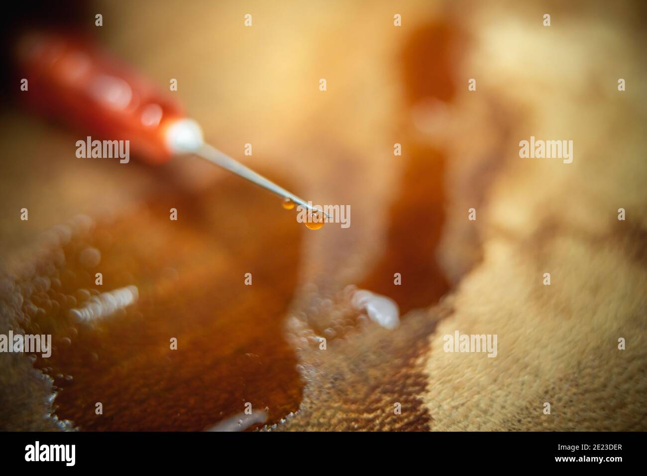 Injection needle for covid vaccination. Stock Photo
