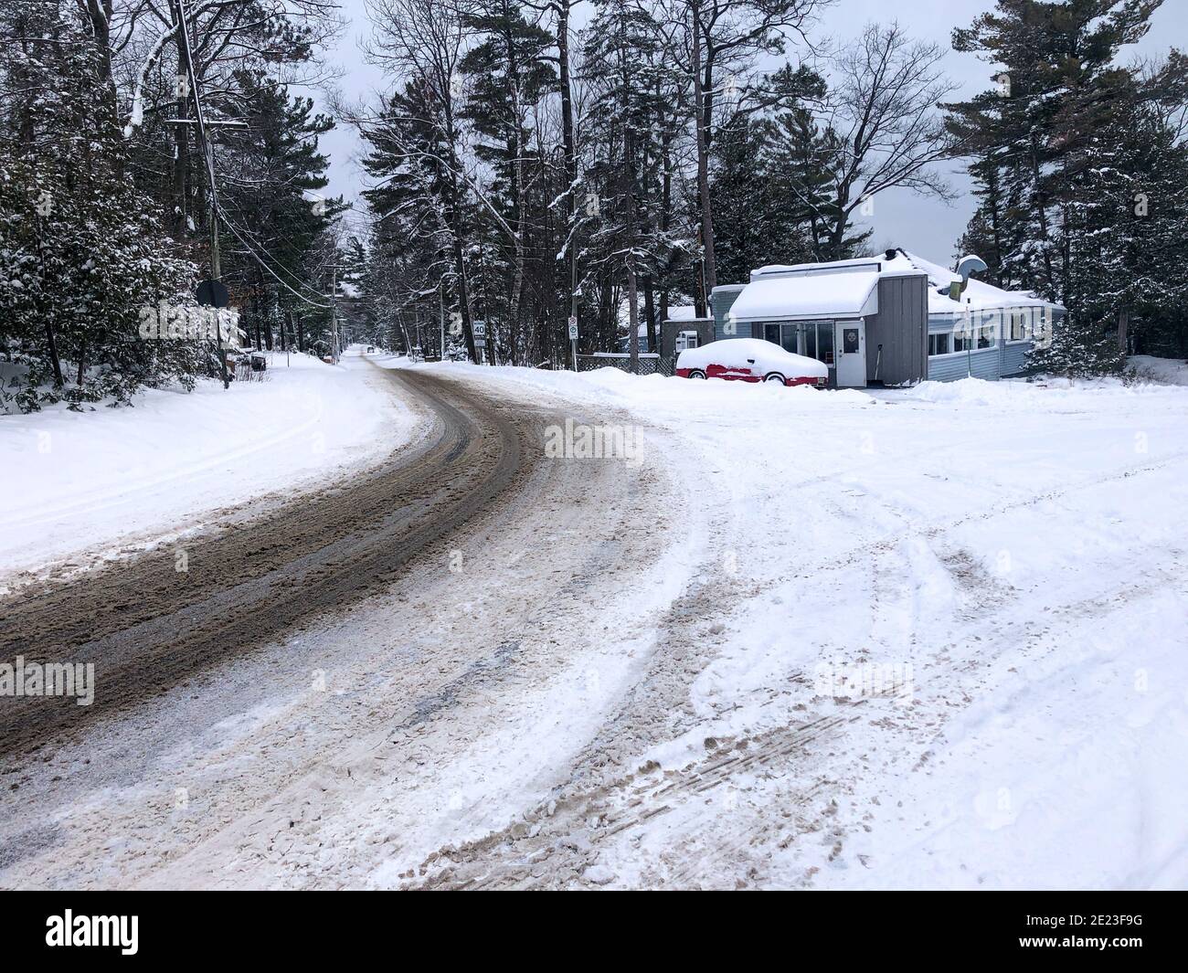 Beautiful shot of a road surrounded with trees and covered with snow in ...