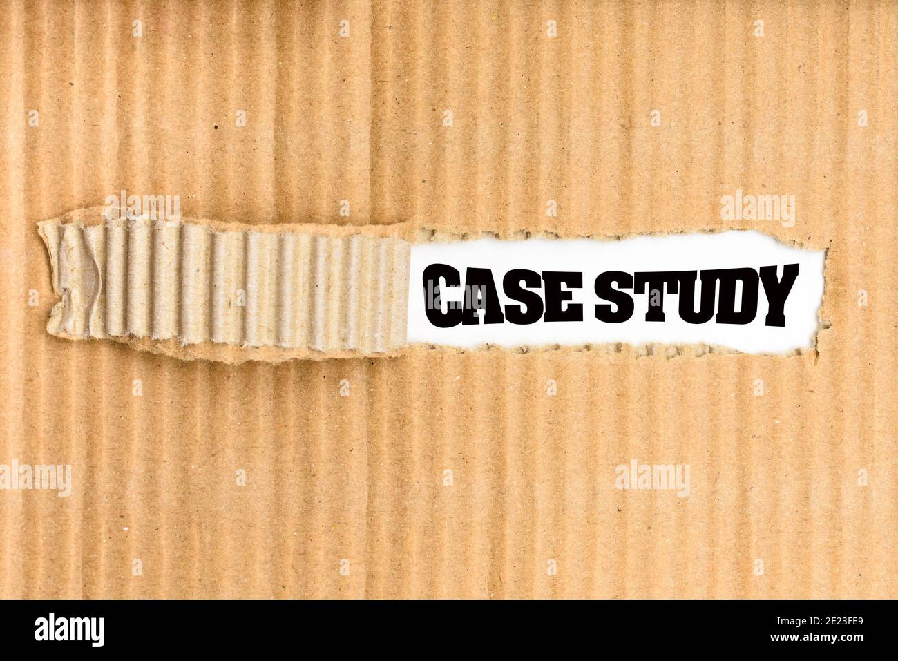 A folder of documents with a Case Study written on its cover, torn. Stock Photo