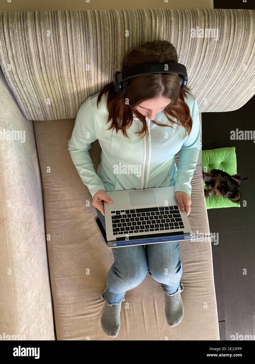 Young female working from home laptop dog Stock Photo - Alamy