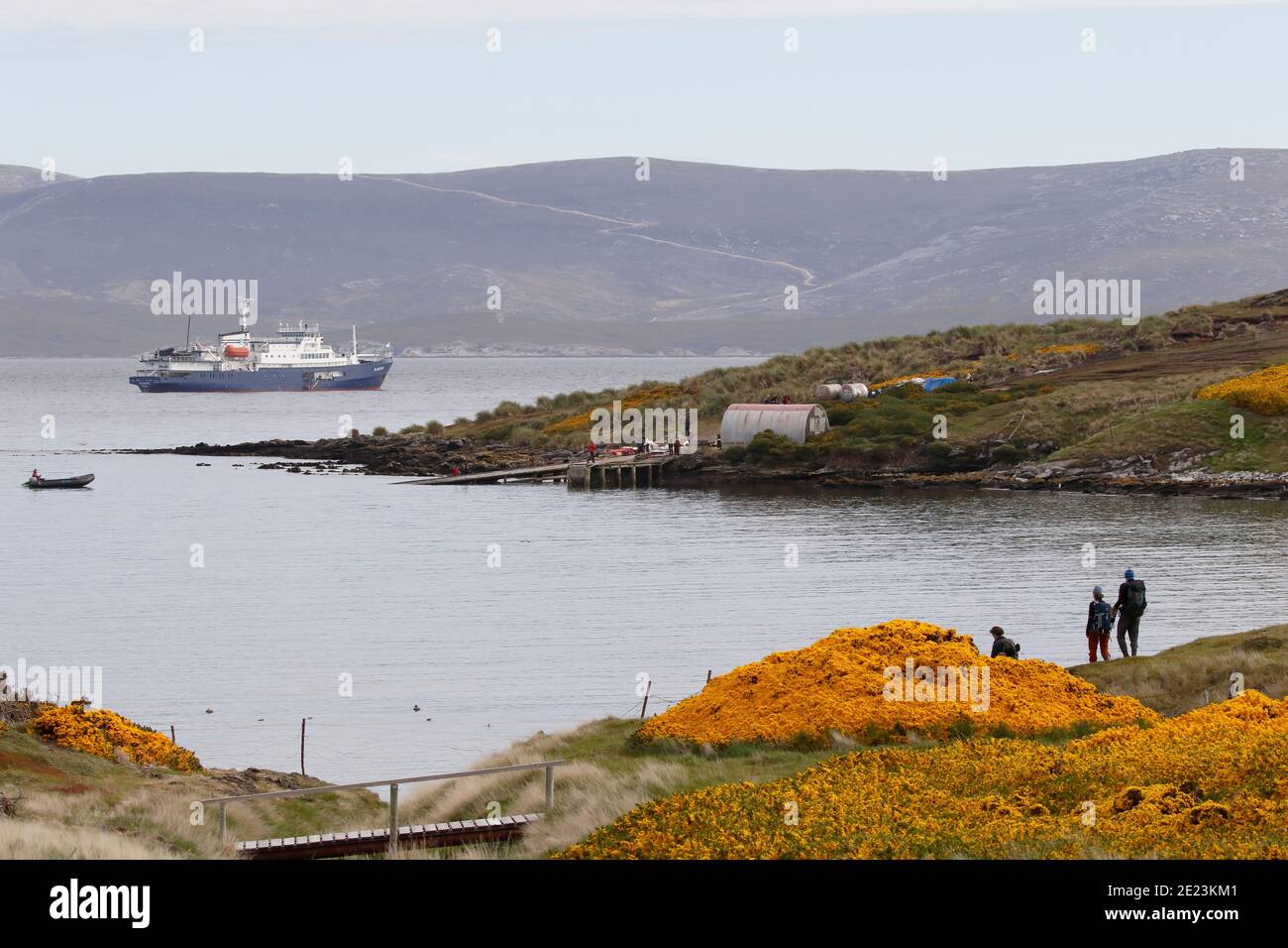 Tourists return to cruise ship (Plancius) after excursion on Carcass Island, Falkland Islands 3rd Dec 2015 Stock Photo