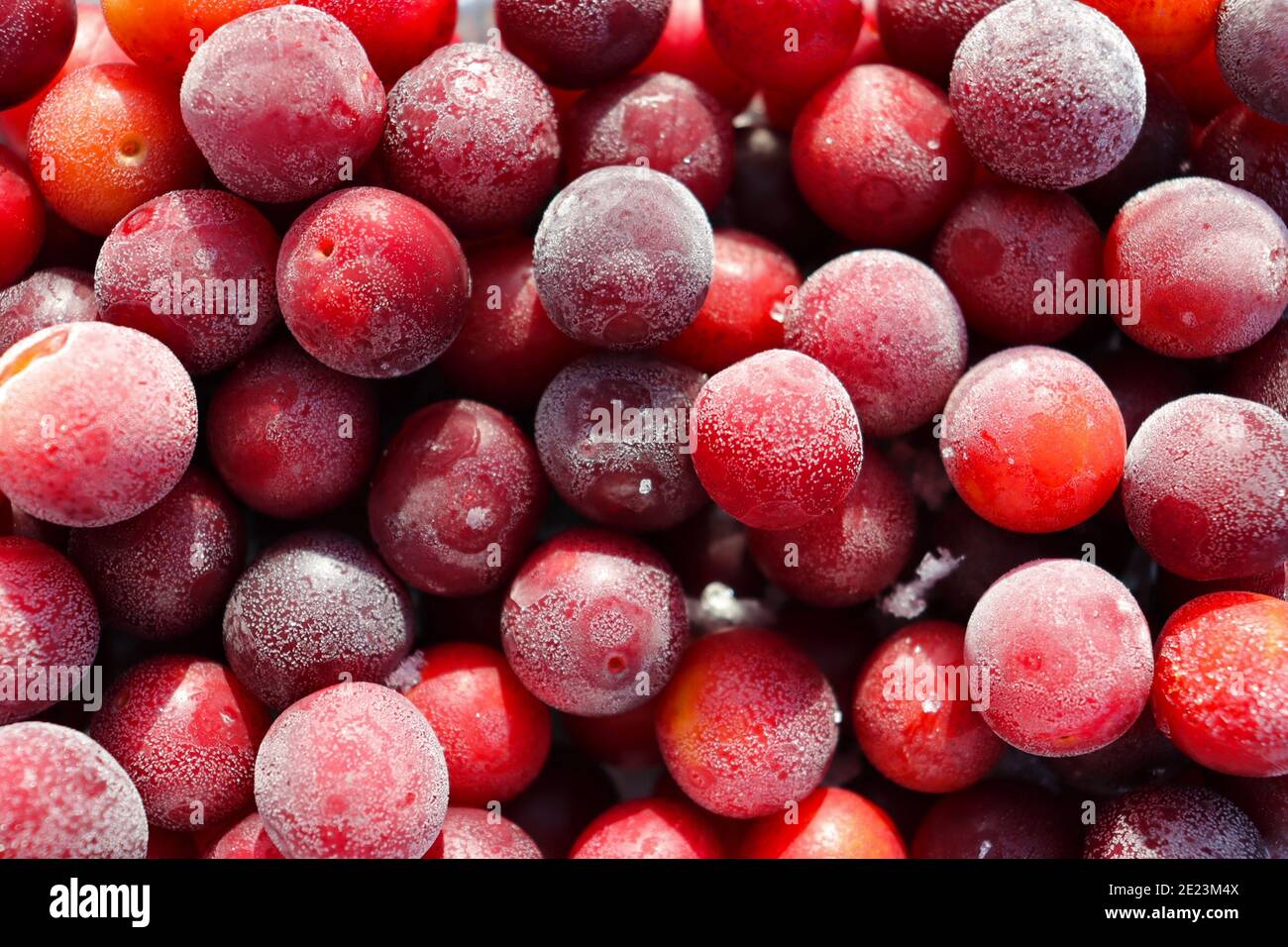 Small frozen red cherries in a container Stock Photo