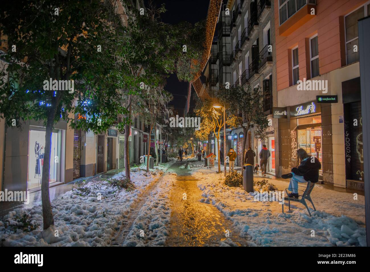 More than 150,000 trees could be affected by the storm. Also hundreds of wrecked vehicles on the streets of Madrid. The snow is still accumulated on t Stock Photo