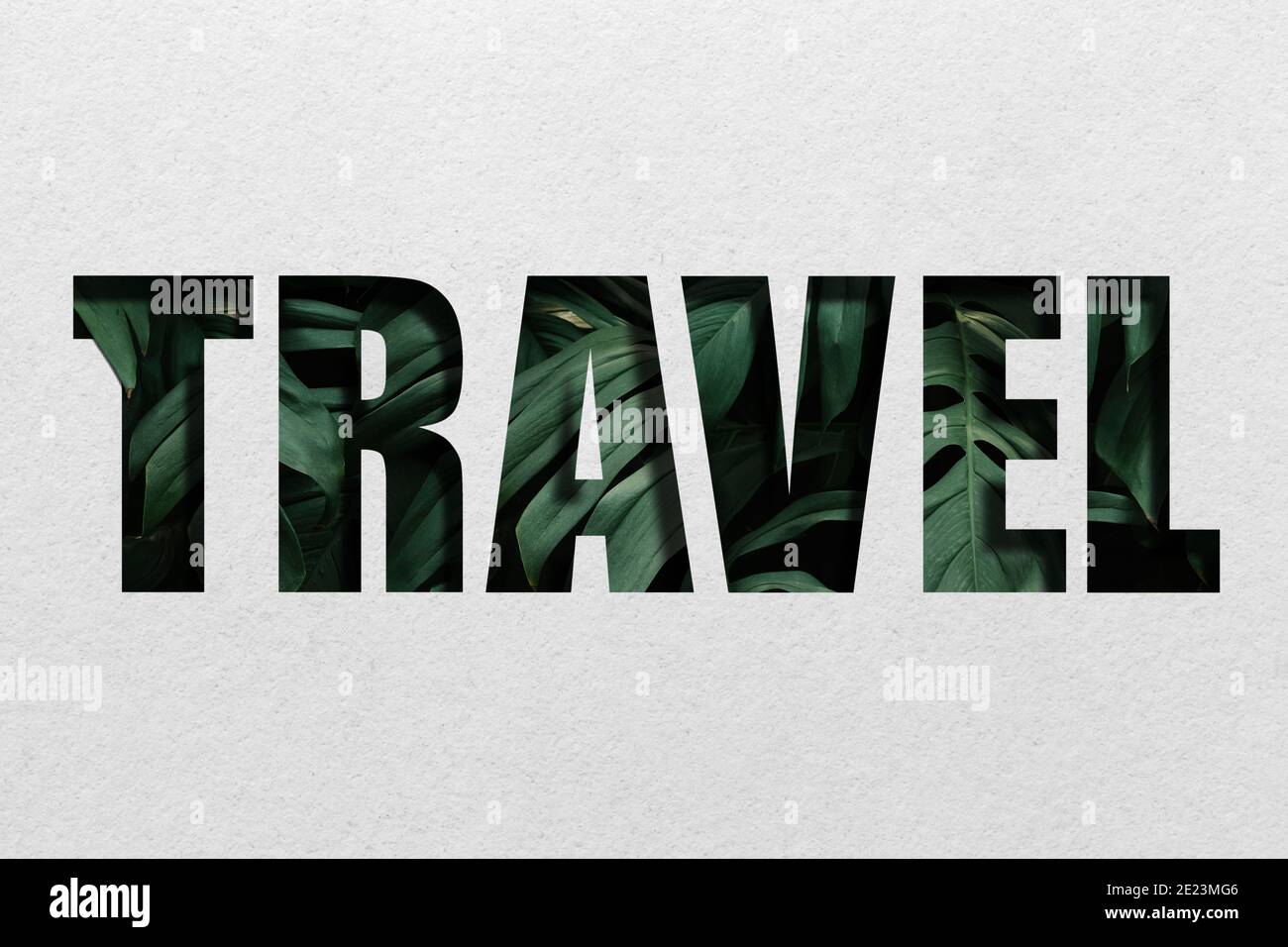 `` TRAVEL '' written with tree leaves Stock Photo - Alamy