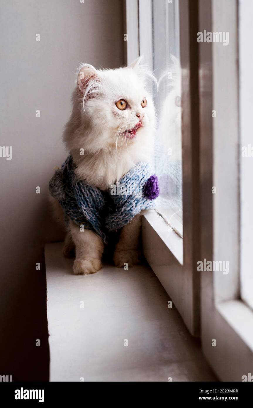 500px Photo ID: 103395181 Stock Photo - Alamy