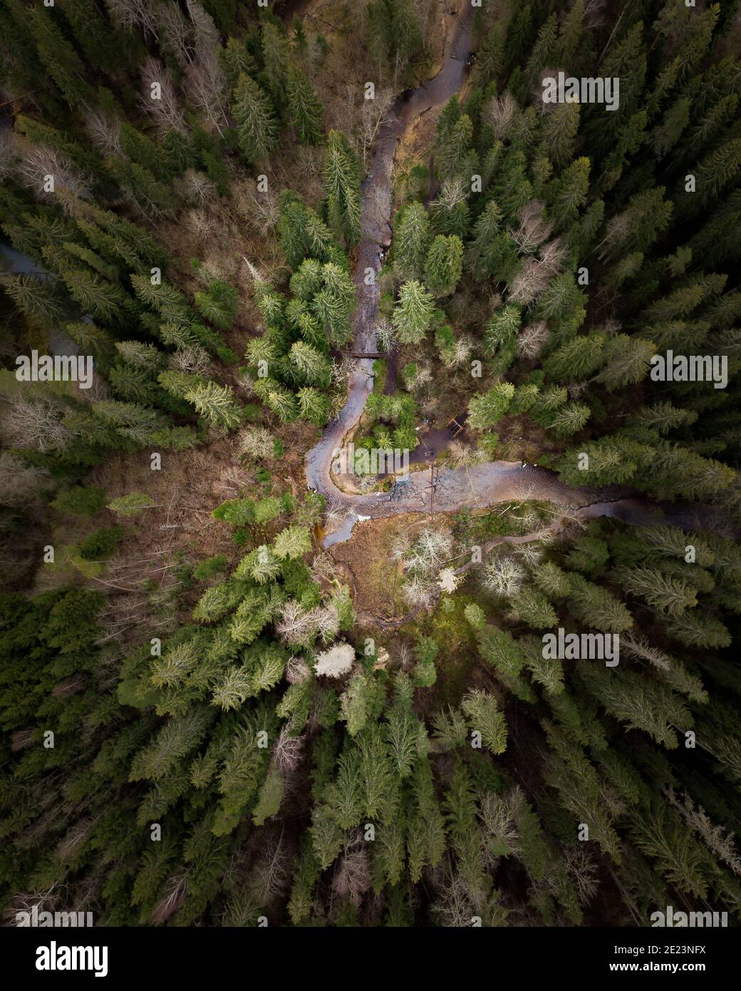 Aerial vertical shot pine forest hi-res stock photography and images ...