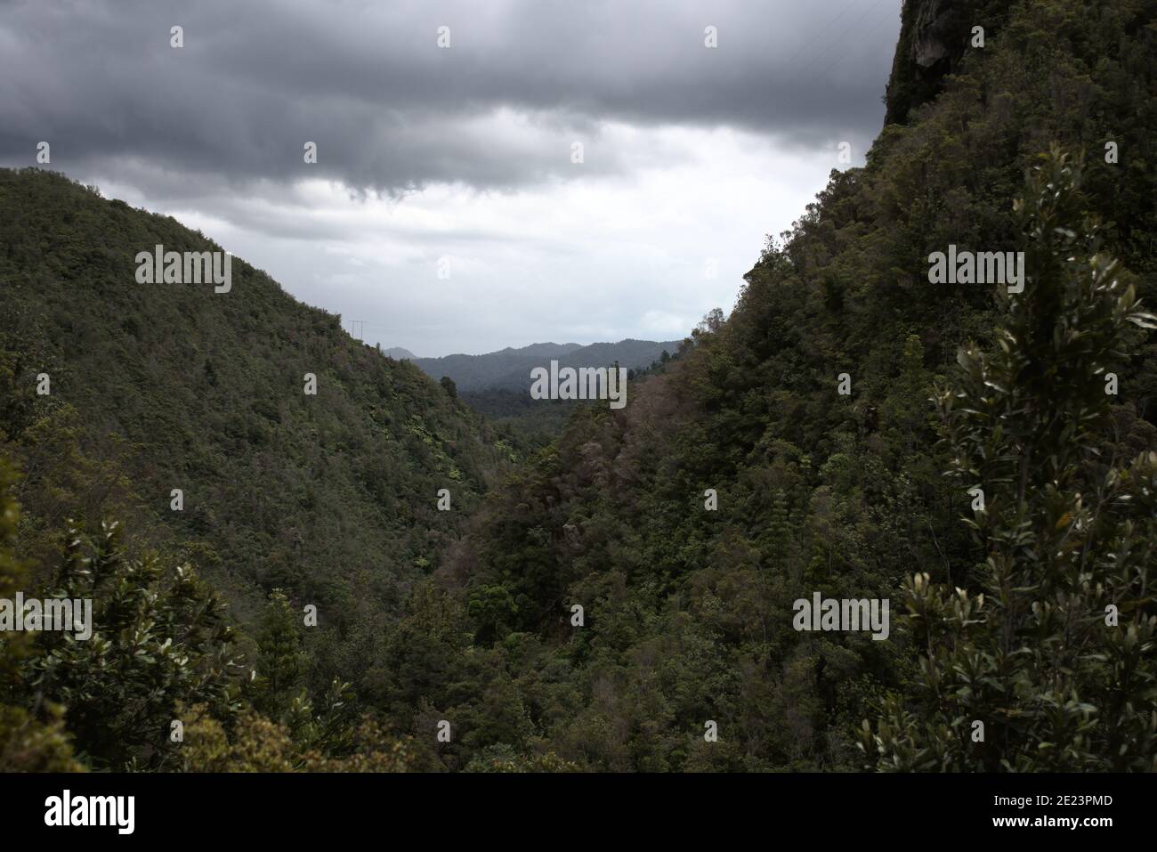 Forested mountains under the cloudy sky Stock Photo - Alamy