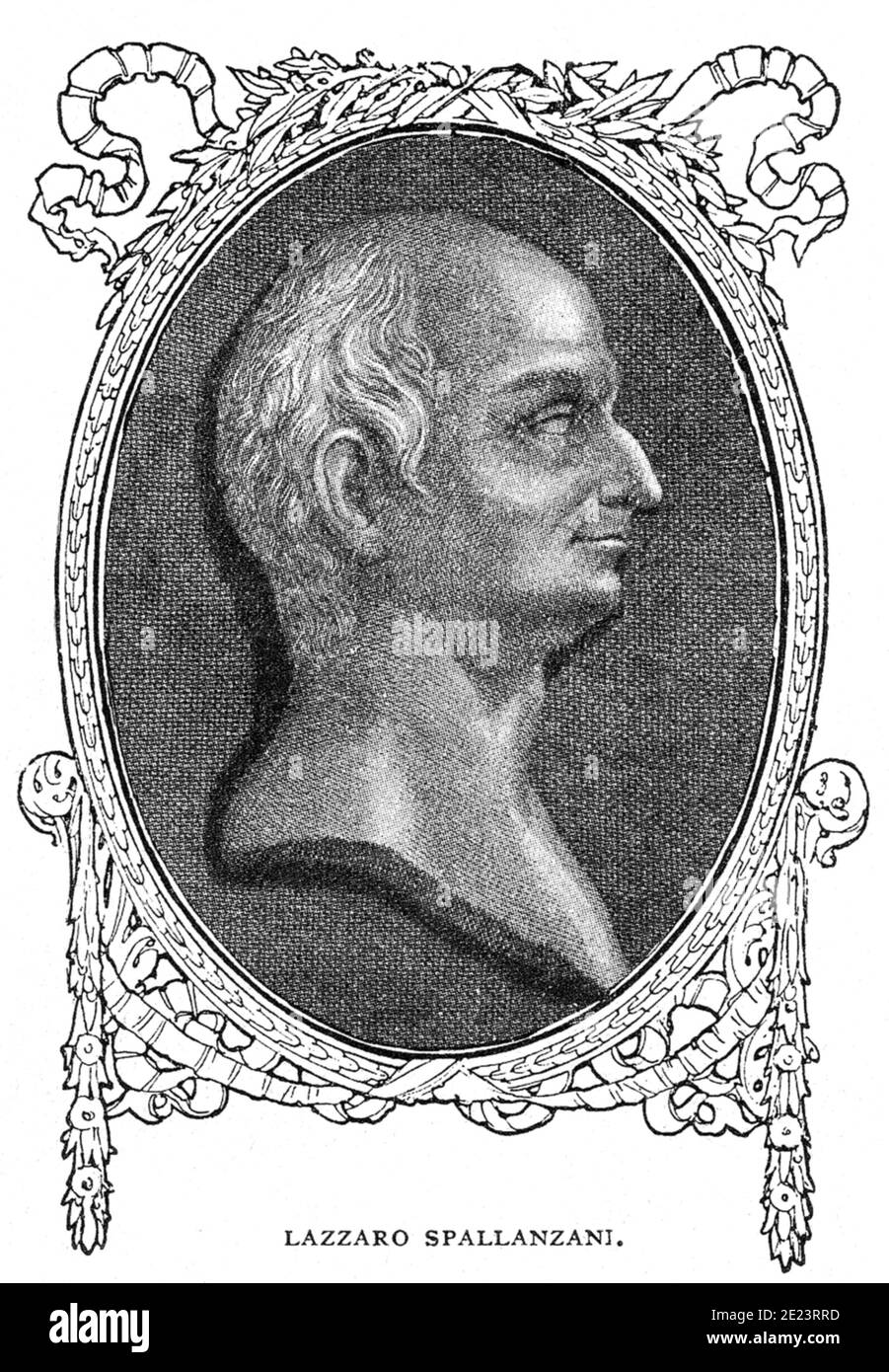 1780 ca , ITALY : The celebrated Italian Jesuit priest , biologist and physiologyst LAZZARO SPALLANZANI ( 1729 - 1799 ), engraving from  unknown artist from XX century . - PROFESSOR - PROFESSORE - foto storiche - foto storica  - scienziato - scientist  - BIOLOGO - BIOLOGISTT - BIOLOGIA - BIOLOGY   - DOTTORE - MEDICO - MEDICINA - medicine  - SCIENZA - SCIENCE - incisione - illustrazione - illustration - FISIOLOGIA - FISIOLOGO - batteriologo - batteriologia ---  Archivio GBB Stock Photo