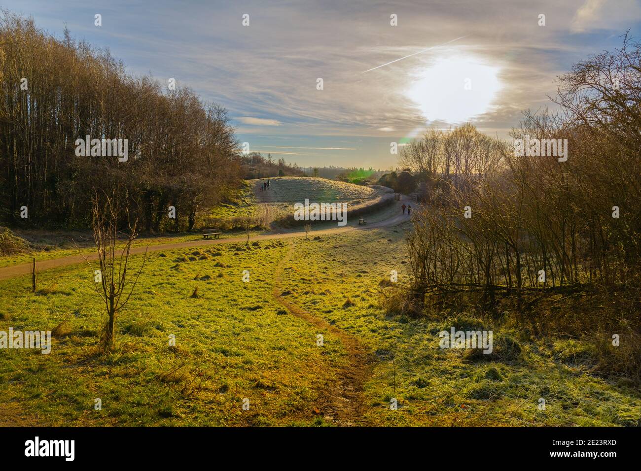 Bright landscape Stock Photo
