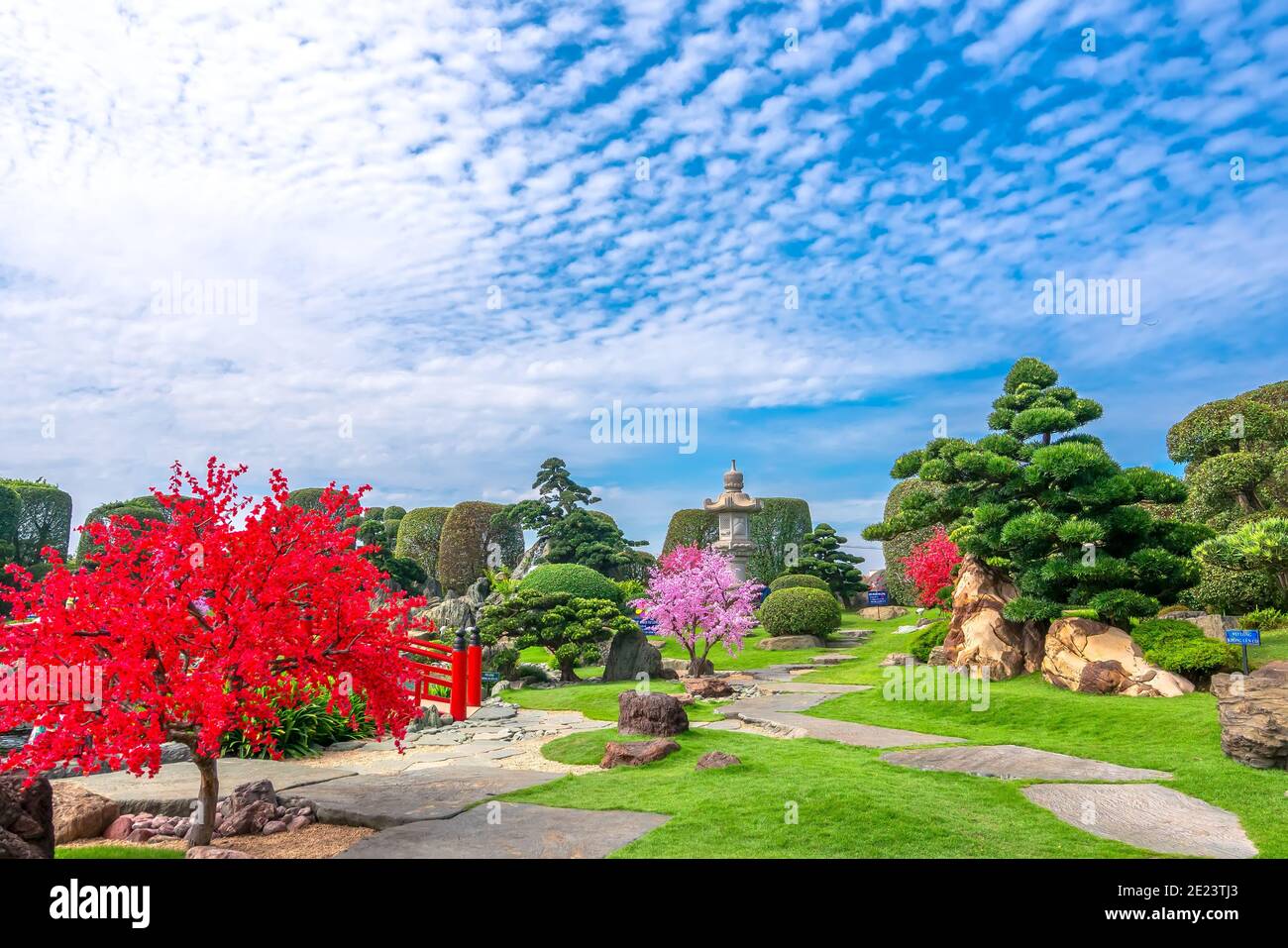 Ecological Garden in designed feng shui with aquarium koi, cypress, pine, water and ancient trees bearing traditional culture Japanese. Stock Photo