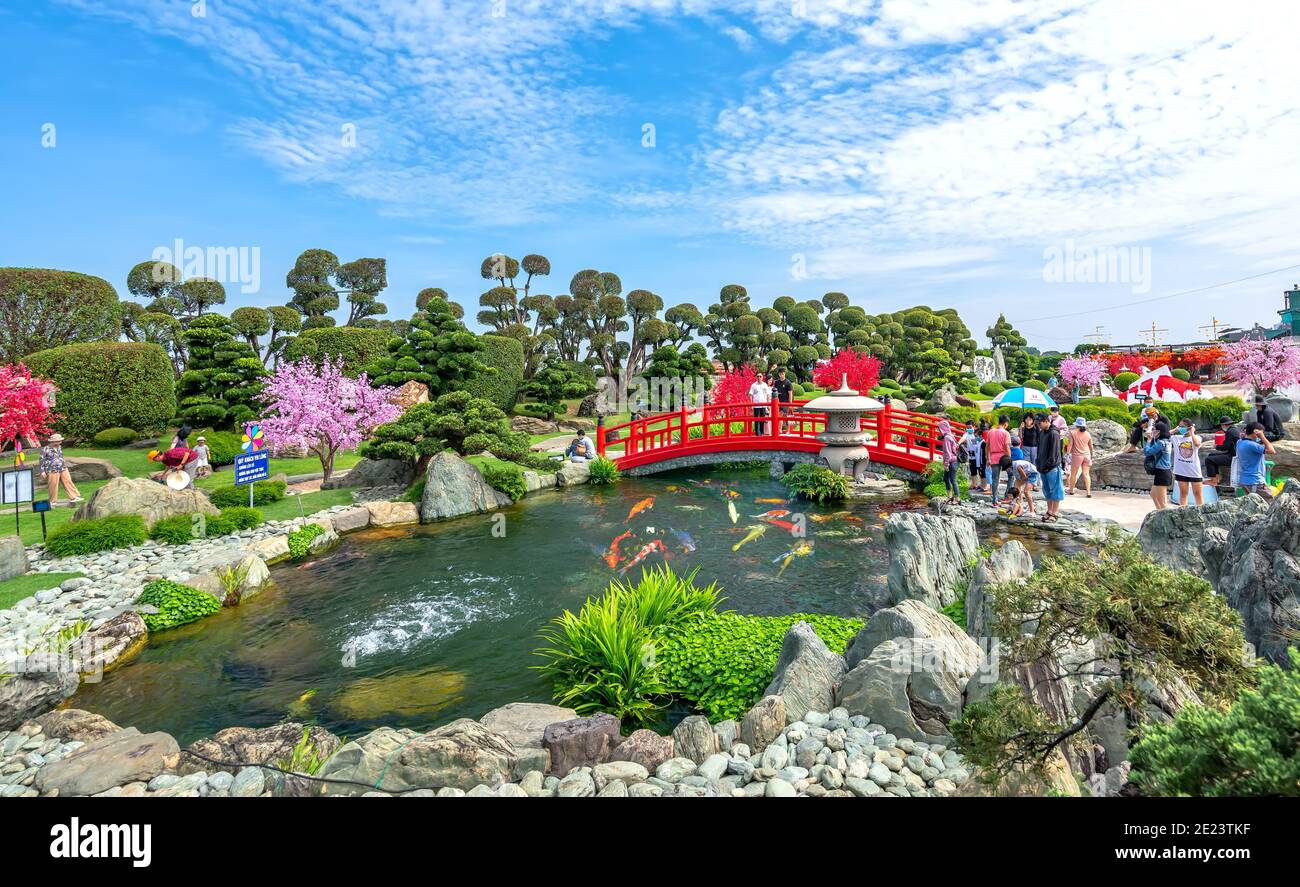 Bonsai garden beauty with cypress, pine, stone, water as paintings incorporate blending attract
