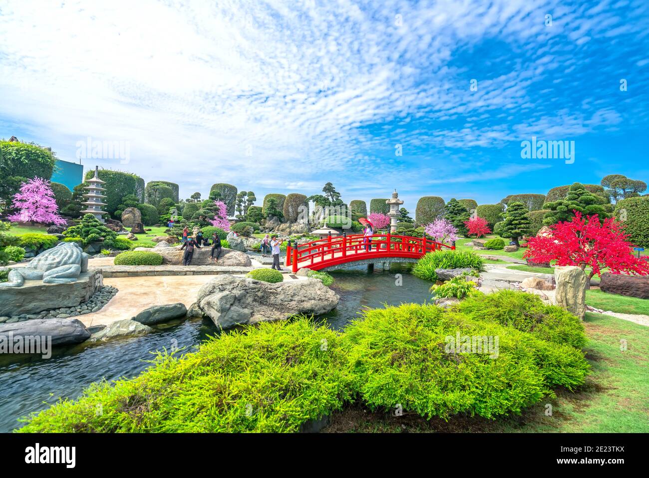 Bonsai garden beauty with cypress, pine, stone, water as paintings incorporate blending attract