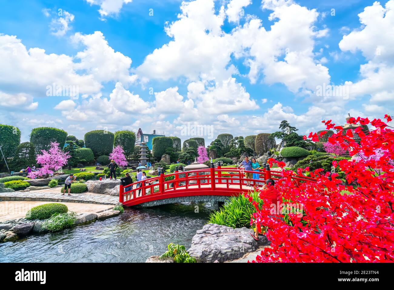Bonsai garden beauty with cypress, pine, stone, water as paintings incorporate blending attract