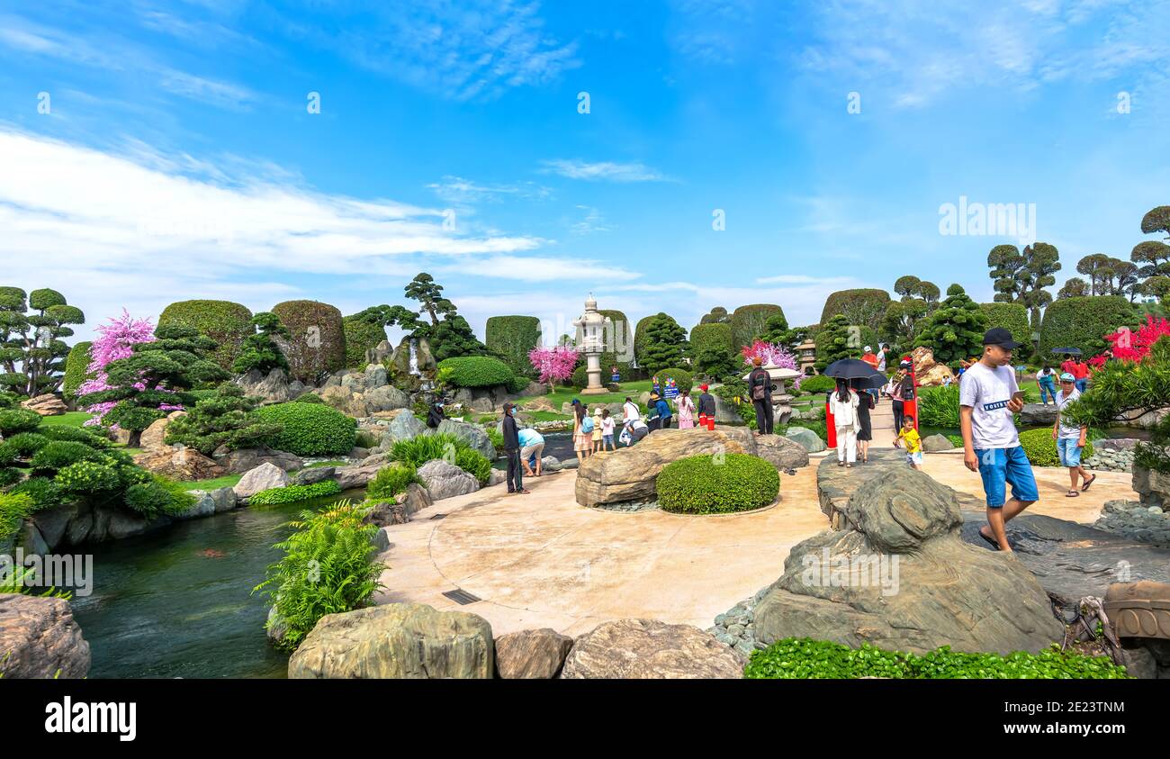 Bonsai garden beauty with cypress, pine, stone, water as paintings incorporate blending attract