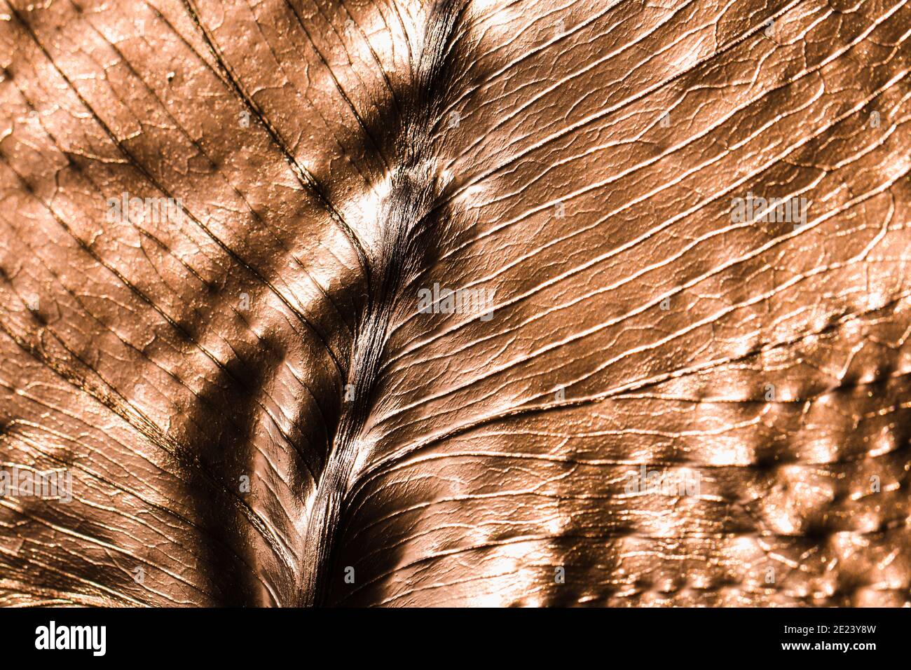 The texture of the monstera leaf painted in gold color. Gold pattern. Abstract background. Stock Photo