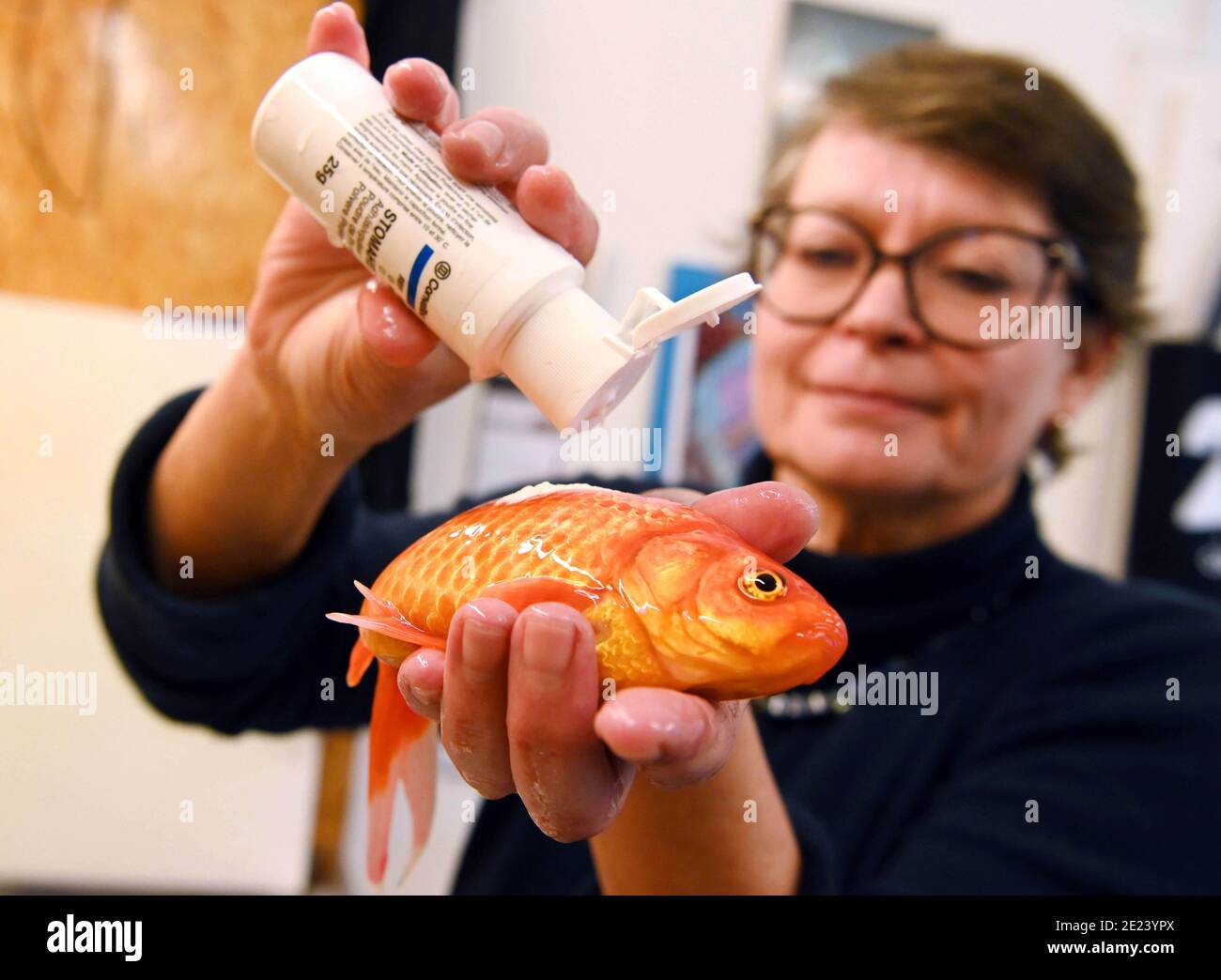 Wound closure hi-res stock photography and images - Alamy