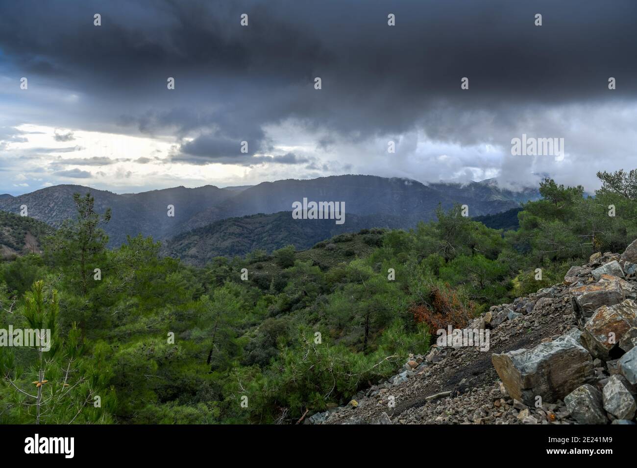 Paphos-Forst, Troodos-Gebirge, Zypern Stock Photo