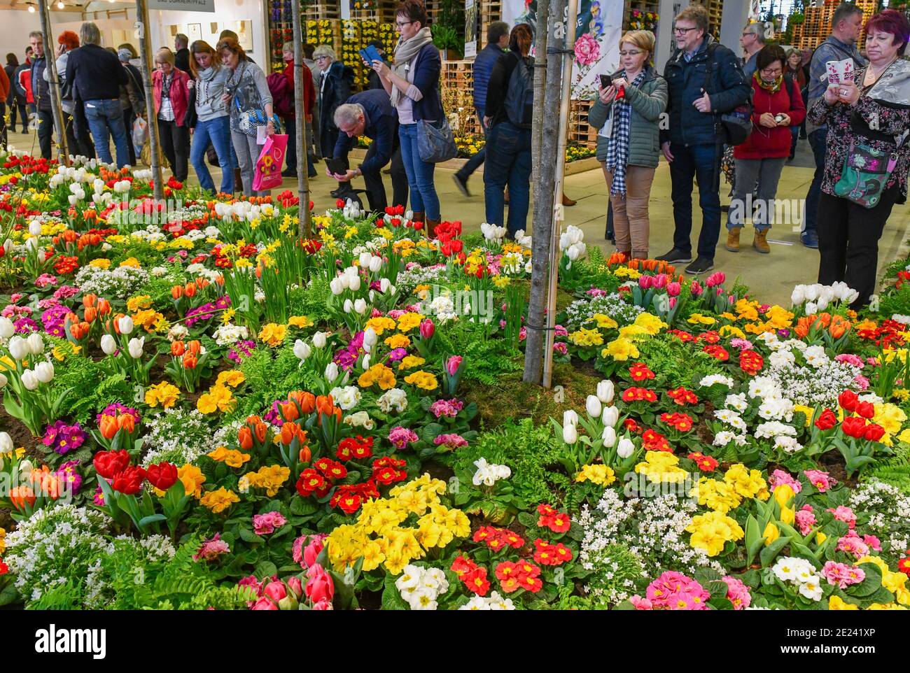 Blumenhalle, Grüne Woche, Messe, Berlin, Deutschland Stock Photo