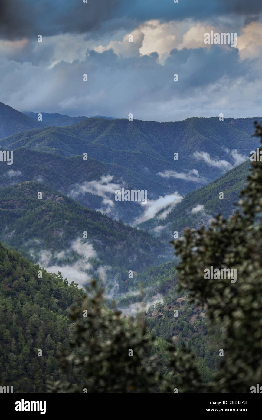 Paphos-Forst, Troodos-Gebirge, Zypern Stock Photo