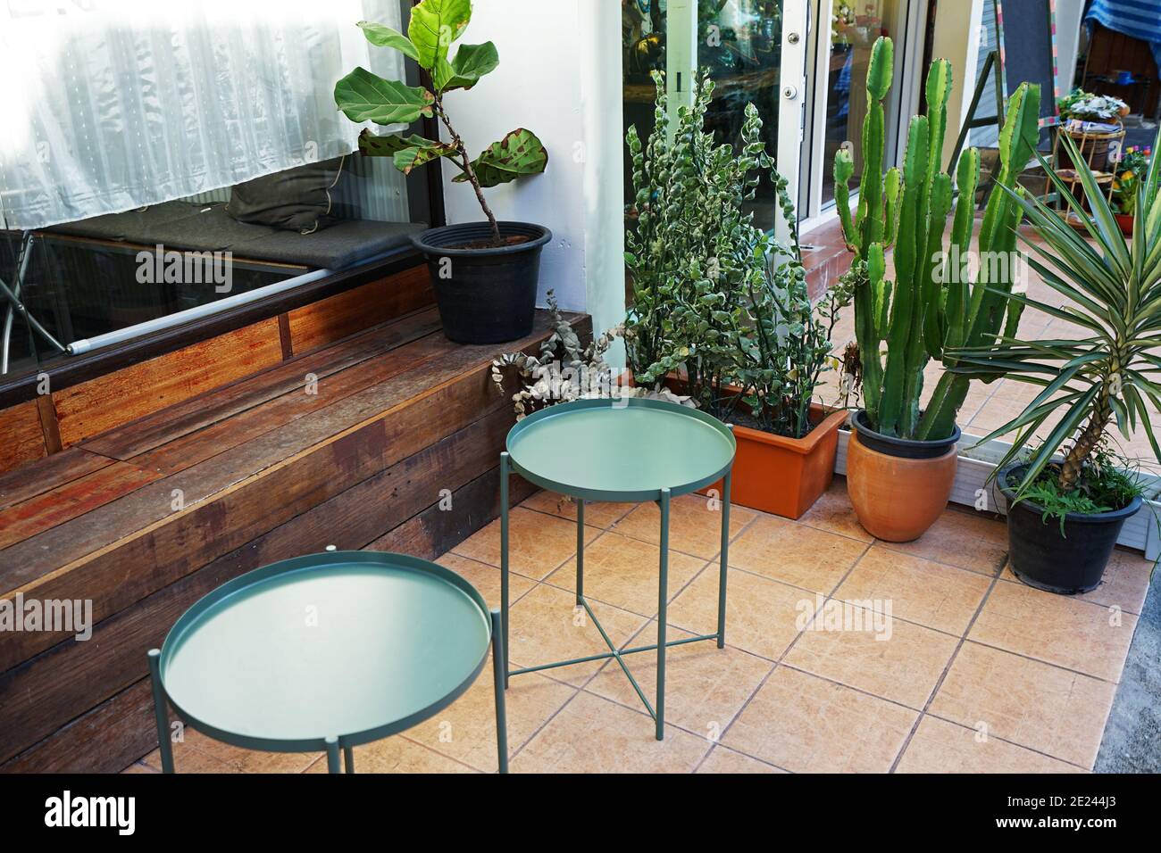 Exterior balcony design and patio decoration of outdoor terrace decorated  with wooden bench couch and green cactus plant pots Stock Photo - Alamy