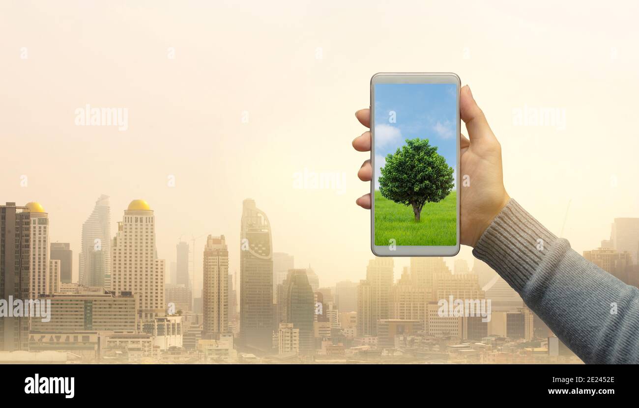 Woman hand holds modern green tree screen smartphone on city background. Saving environment and natural conservation concept. Stock Photo
