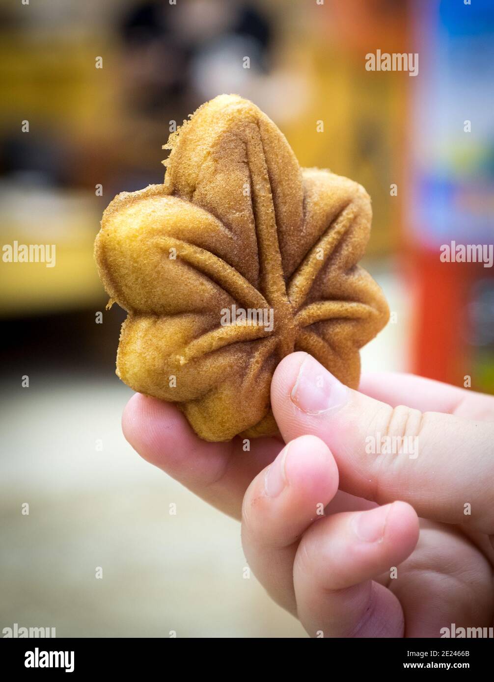A delicious momiji manju, a maple-leaf shaped cookie (technically