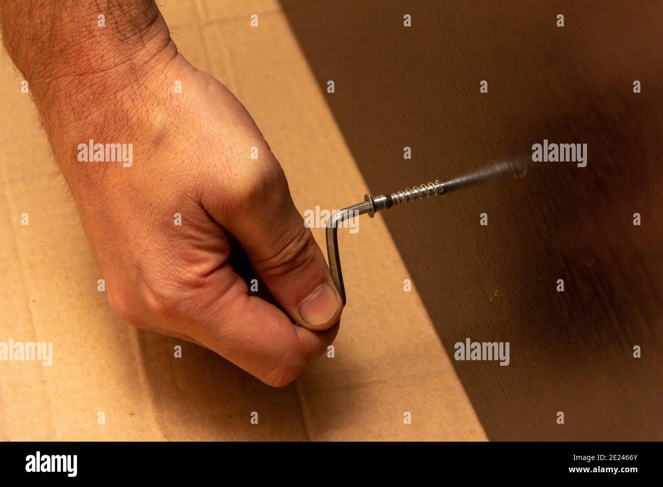 male hand tightens the screw with a hex wrench in dark brown laminated chipboard, furniture assembly Stock Photo