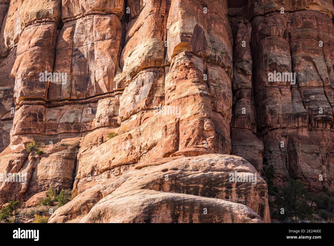 A closeup of the pinnacles of sandstone near Chesler Park in Canyonlands National Park, Utah, USA. Stock Photo