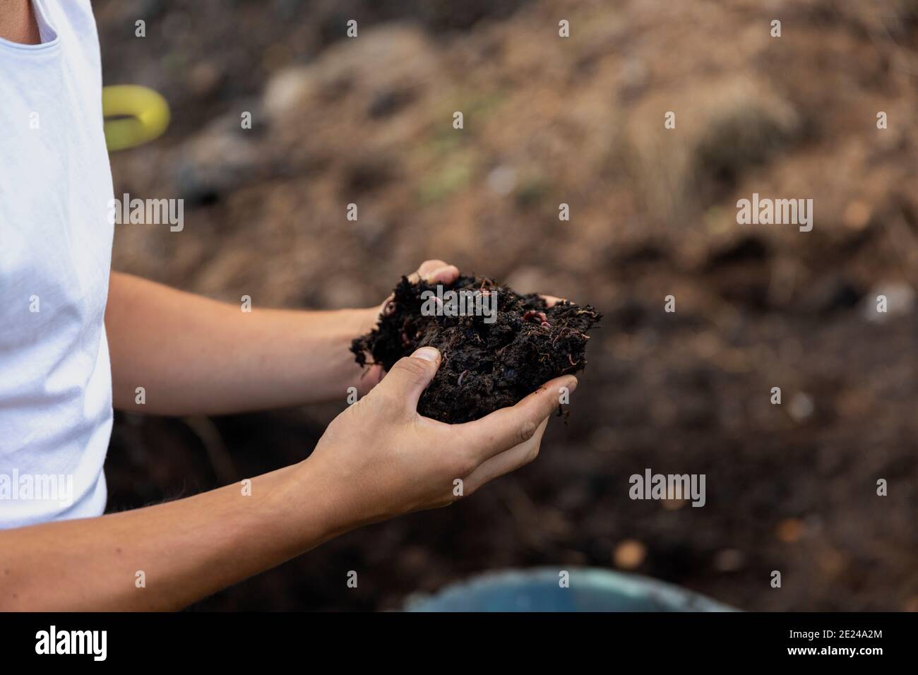 Hands holding dirt Stock Photo Alamy