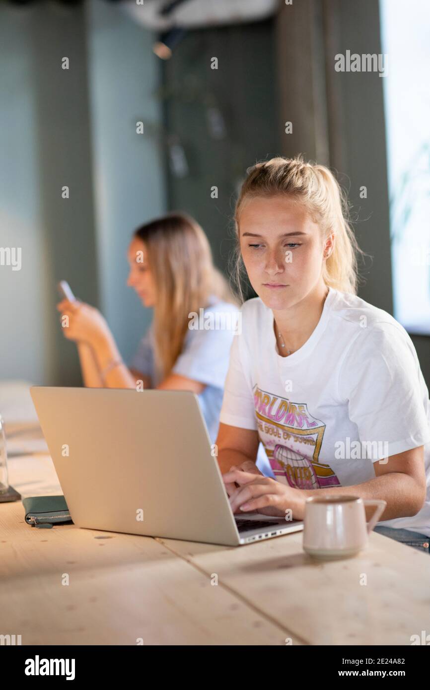 Young woman using laptop in cafe Stock Photo