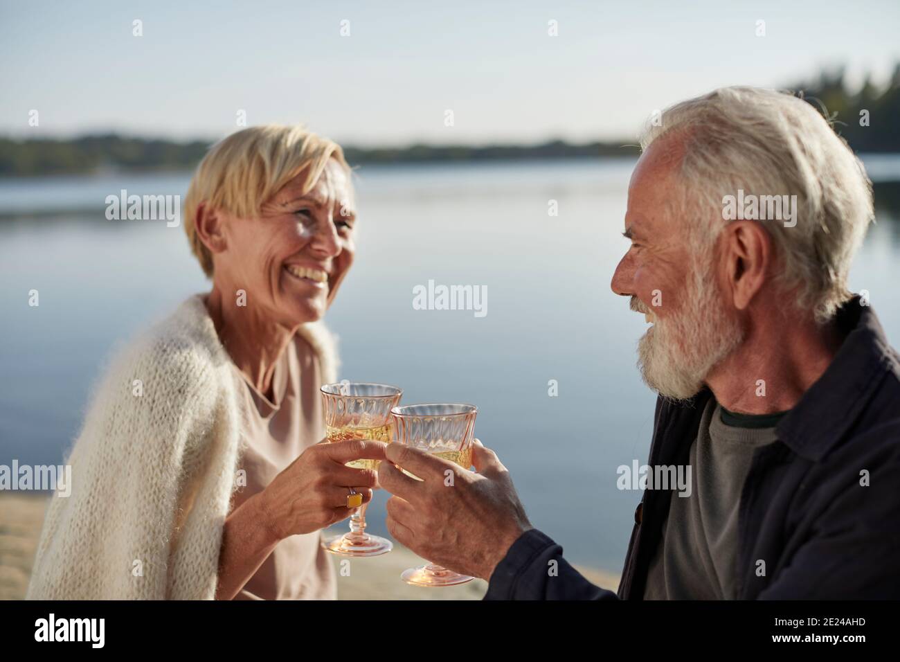 Smiling couple having wine Stock Photo