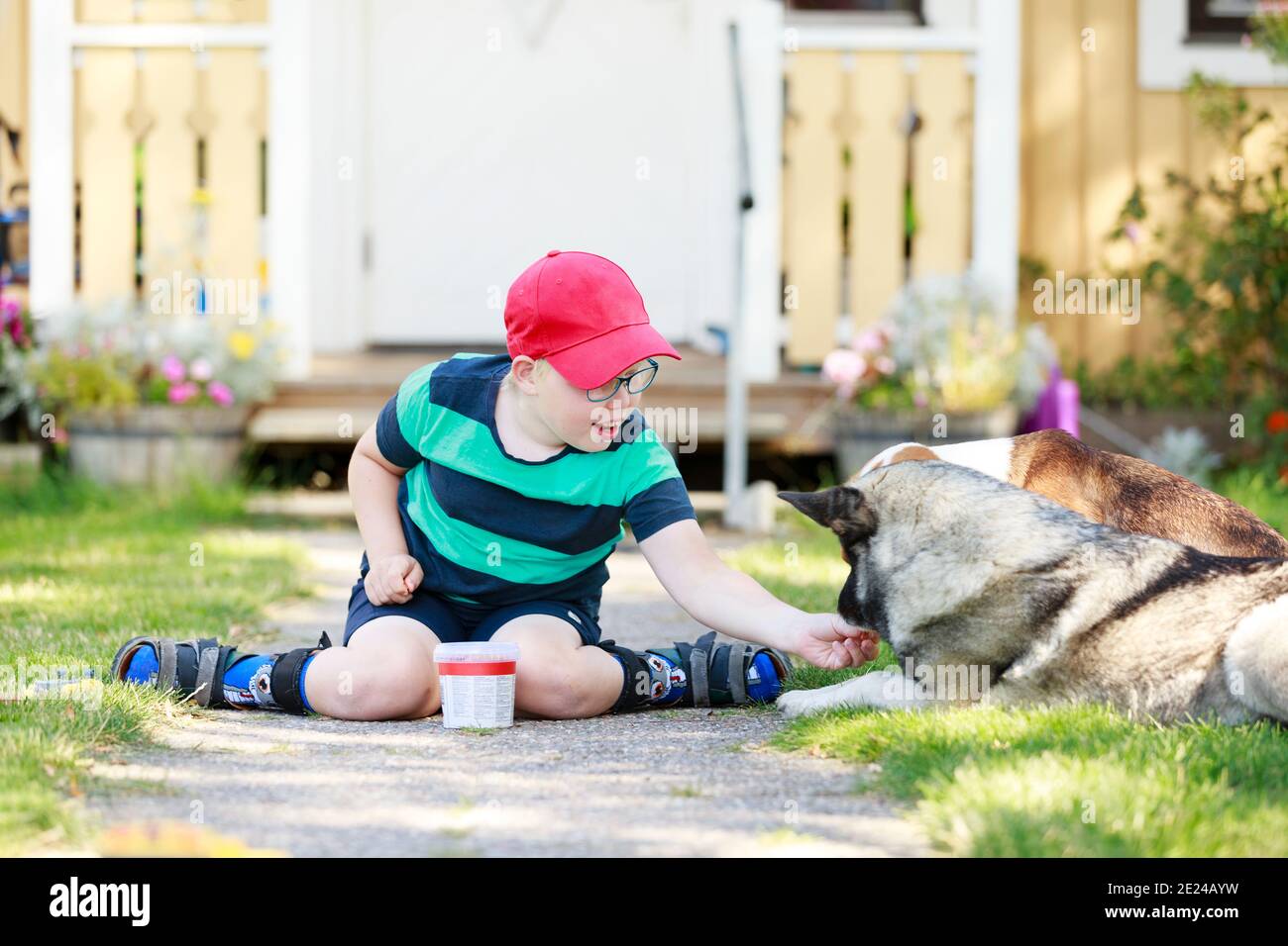 Boy with dogs in garden Stock Photo