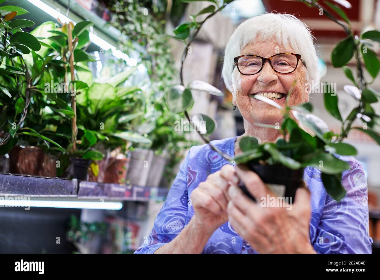 Woman plants looking at camera hi-res stock photography and images - Alamy