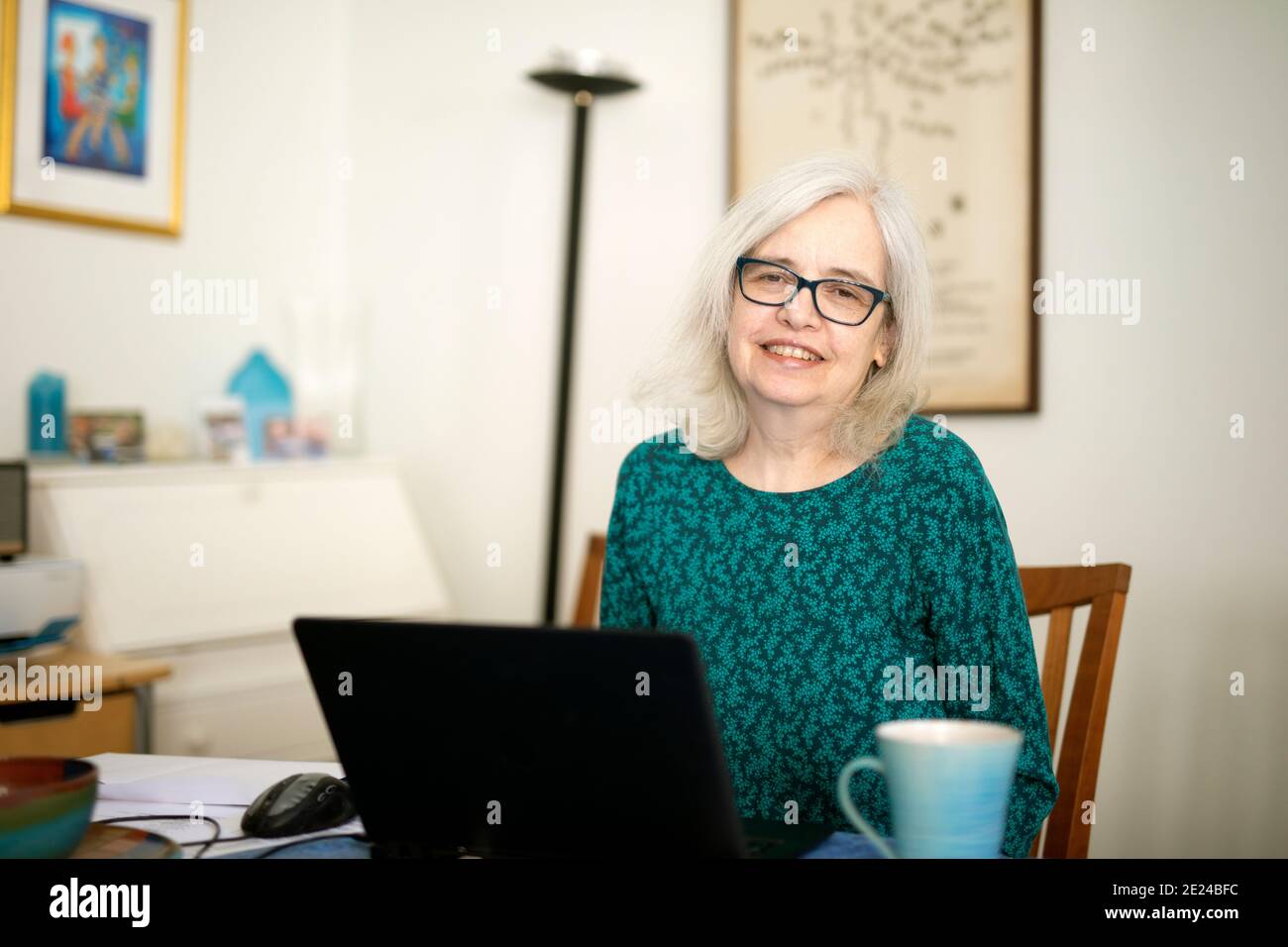 Woman using laptop at home Stock Photo