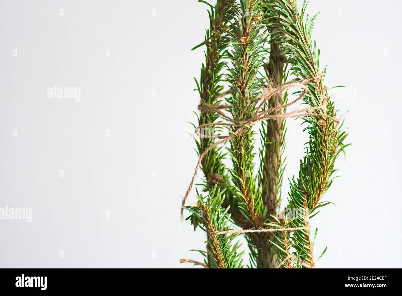 Tips for easy Christmas tree recycle or disposal without making a mess