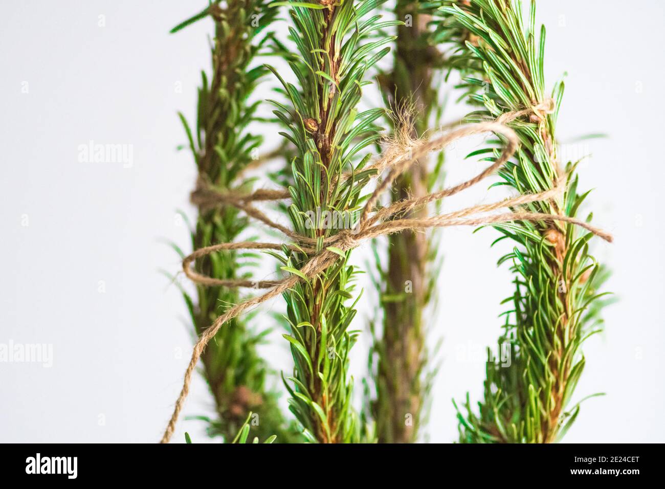 Tips for easy Christmas tree recycle or disposal without making a mess