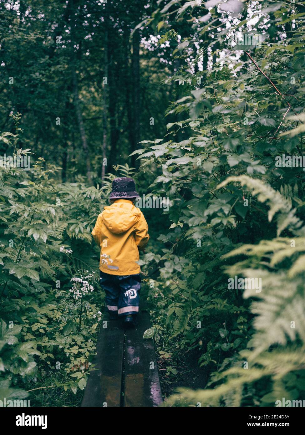 Toddler walking in forest Stock Photo Alamy