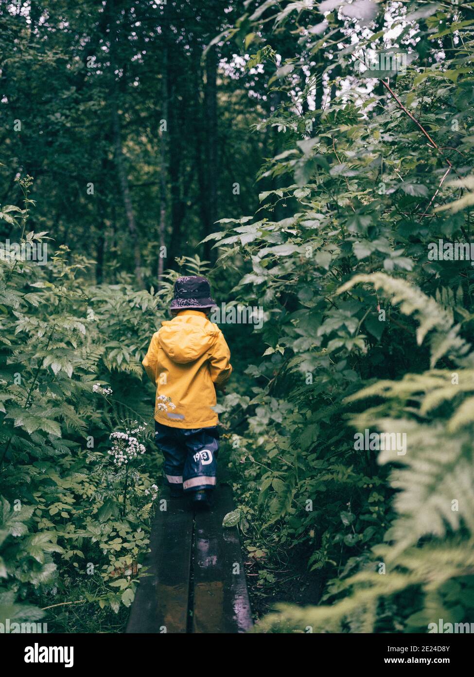 Toddler walking in forest Stock Photo