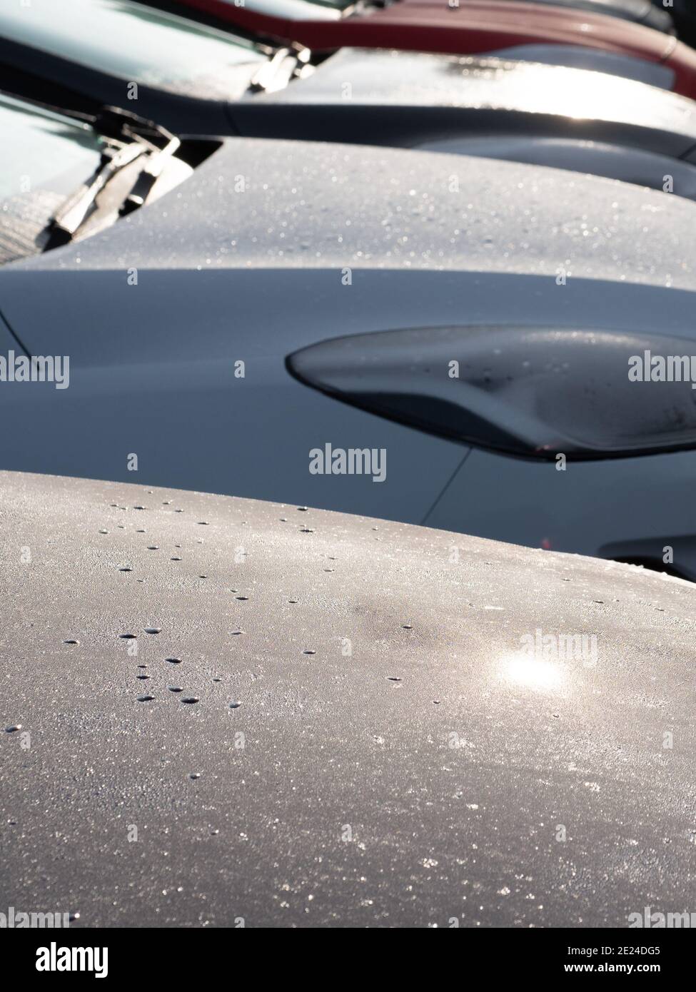 Frosted car on a showroom lot at Westbury Leigh, Wiltshire