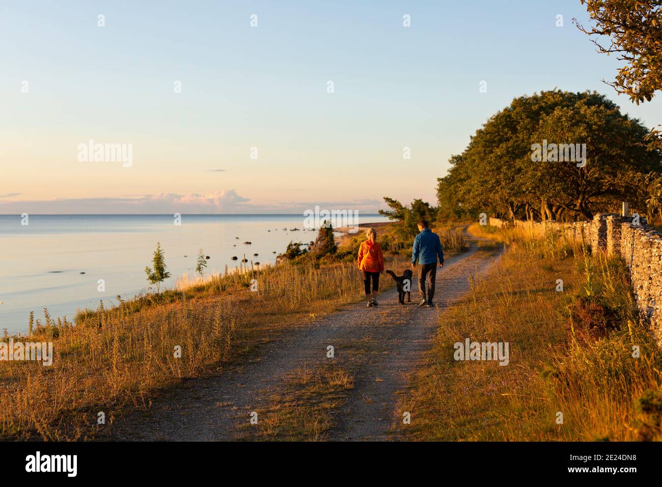 Couple walking with dog Stock Photo - Alamy